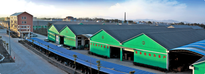 开洋木门 开门喜洋洋，匠心铸就品质生活